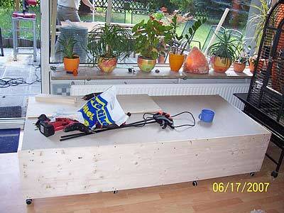 nymphicus_voli_1.jpg nymphicus_voli_1.jpg