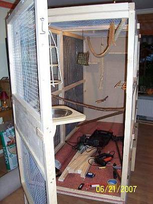 nymphicus_voli_9.jpg nymphicus_voli_9.jpg