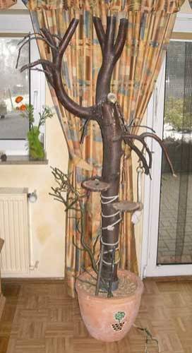 oernie_vogelbaum_1.jpg oernie_vogelbaum_1.jpg