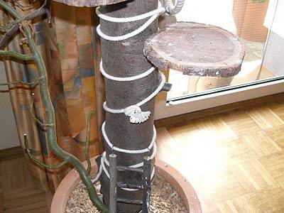 oernie_vogelbaum_3.jpg oernie_vogelbaum_3.jpg