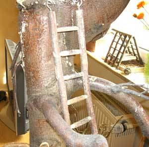 oernie_vogelbaum_6.jpg oernie_vogelbaum_6.jpg