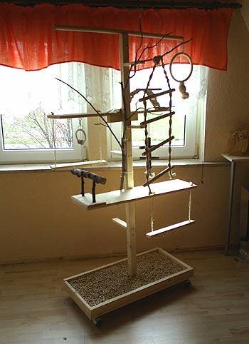 oltmanns_vogelbaum_1.jpg oltmanns_vogelbaum_1.jpg