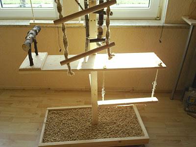 oltmanns_vogelbaum_4.jpg oltmanns_vogelbaum_4.jpg