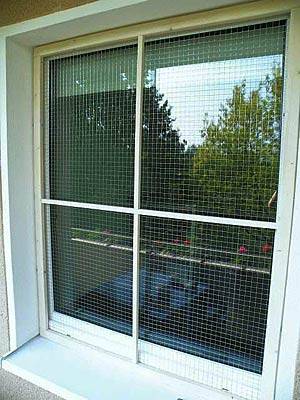 rene77_fenster_1.jpg rene77_fenster_1.jpg