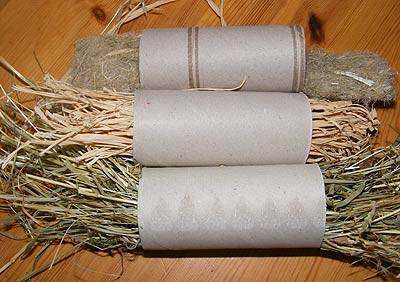 shanti_rollen_2.jpg shanti_rollen_2.jpg