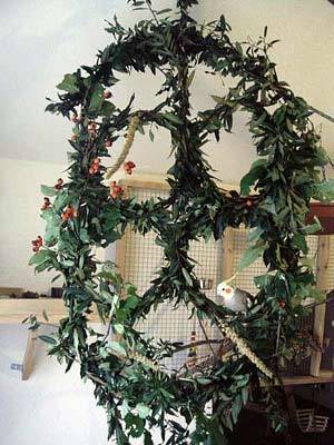 superlex_kletterdings_1.jpg superlex_kletterdings_1.jpg