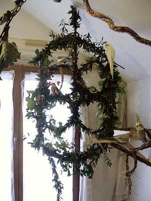 superlex_kletterdings_3.jpg superlex_kletterdings_3.jpg