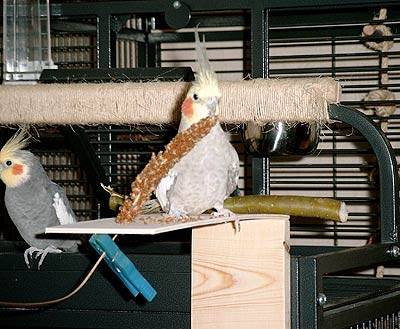 ulli_planke_5.jpg ulli_planke_5.jpg