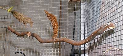 wir_befestigung_4.jpg wir_befestigung_4.jpg