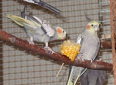 wir_lochast_1.jpg wir_lochast_1.jpg