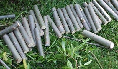 wir_schlafschaukel_2.jpg wir_schlafschaukel_2.jpg