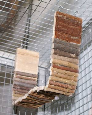 wir_schlafschaukel_9.jpg wir_schlafschaukel_9.jpg