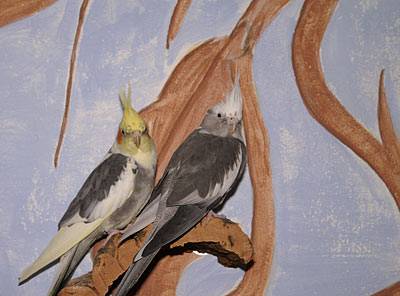 wir_wandkork_7.jpg wir_wandkork_7.jpg