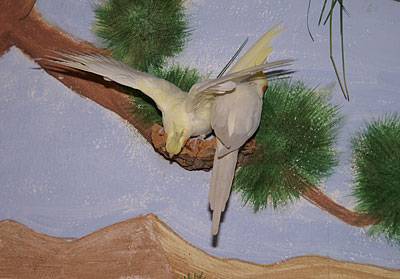 wir_wandkork_8.jpg wir_wandkork_8.jpg