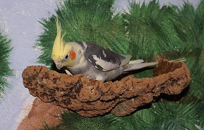 wir_wandkork_9.jpg wir_wandkork_9.jpg