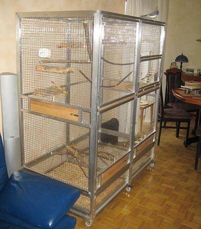 yannick_voliere_t.jpg yannick_voliere_t.jpg