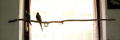 zuendy_halterung_3.jpg zuendy_halterung_3.jpg