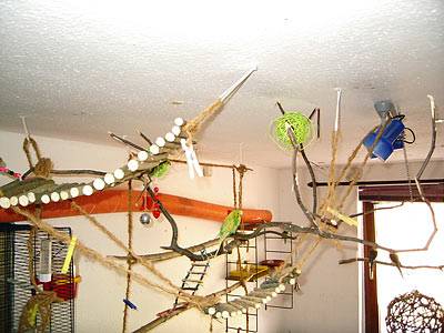 zuendy_halterung_4.jpg zuendy_halterung_4.jpg