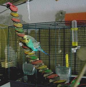 zuendy_htreppe_1.jpg zuendy_htreppe_1.jpg