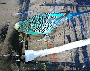 zuendy_kabelschutz_1.jpg zuendy_kabelschutz_1.jpg