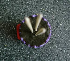 zuendy_wackelei_2.jpg zuendy_wackelei_2.jpg