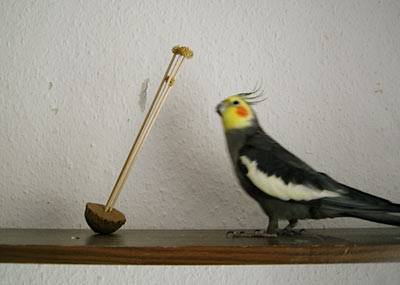 zuendy_wackelei_t.jpg zuendy_wackelei_t.jpg