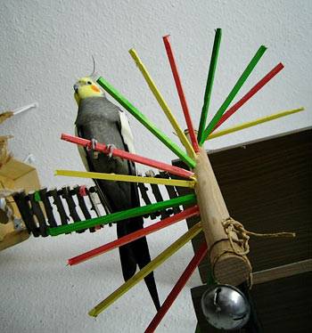 zuendy_wendeltreppe_t.jpg zuendy_wendeltreppe_t.jpg