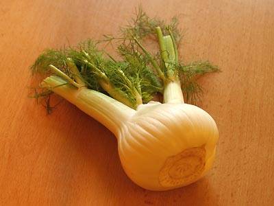 fenchel1.jpg