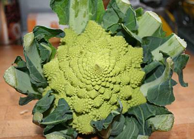 romanesco.jpg