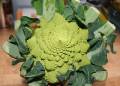romanesco.jpg