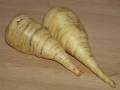 pastinake_t.jpg