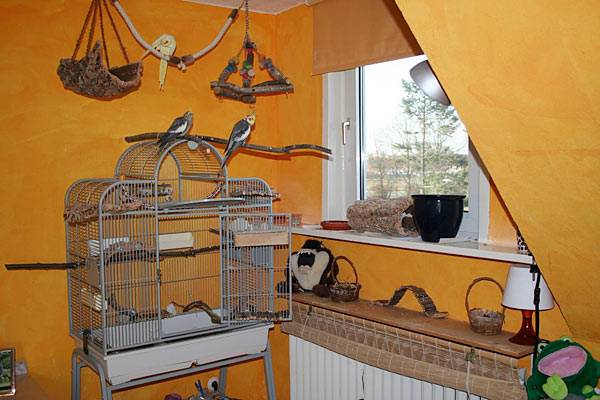 vogelwohnzimmer_hellen_3.jpg