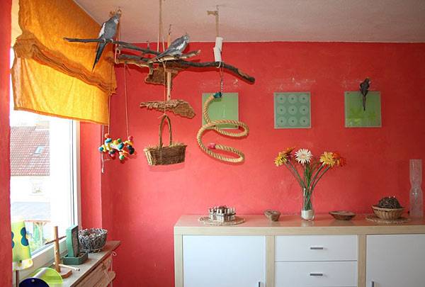 vogelwohnzimmer_hellen_4.jpg
